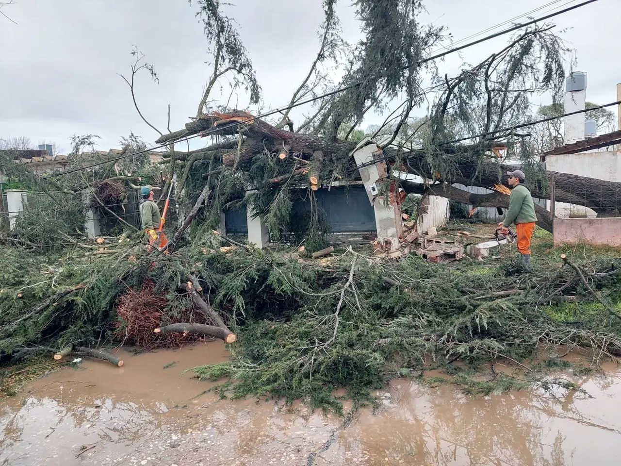 Las Rosas y San Genaro tras el temporal que azotó la región