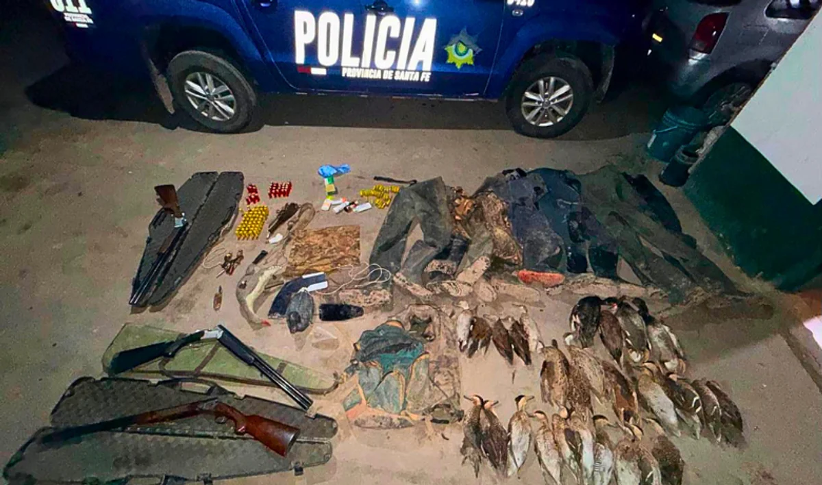 Imagen de la noticia