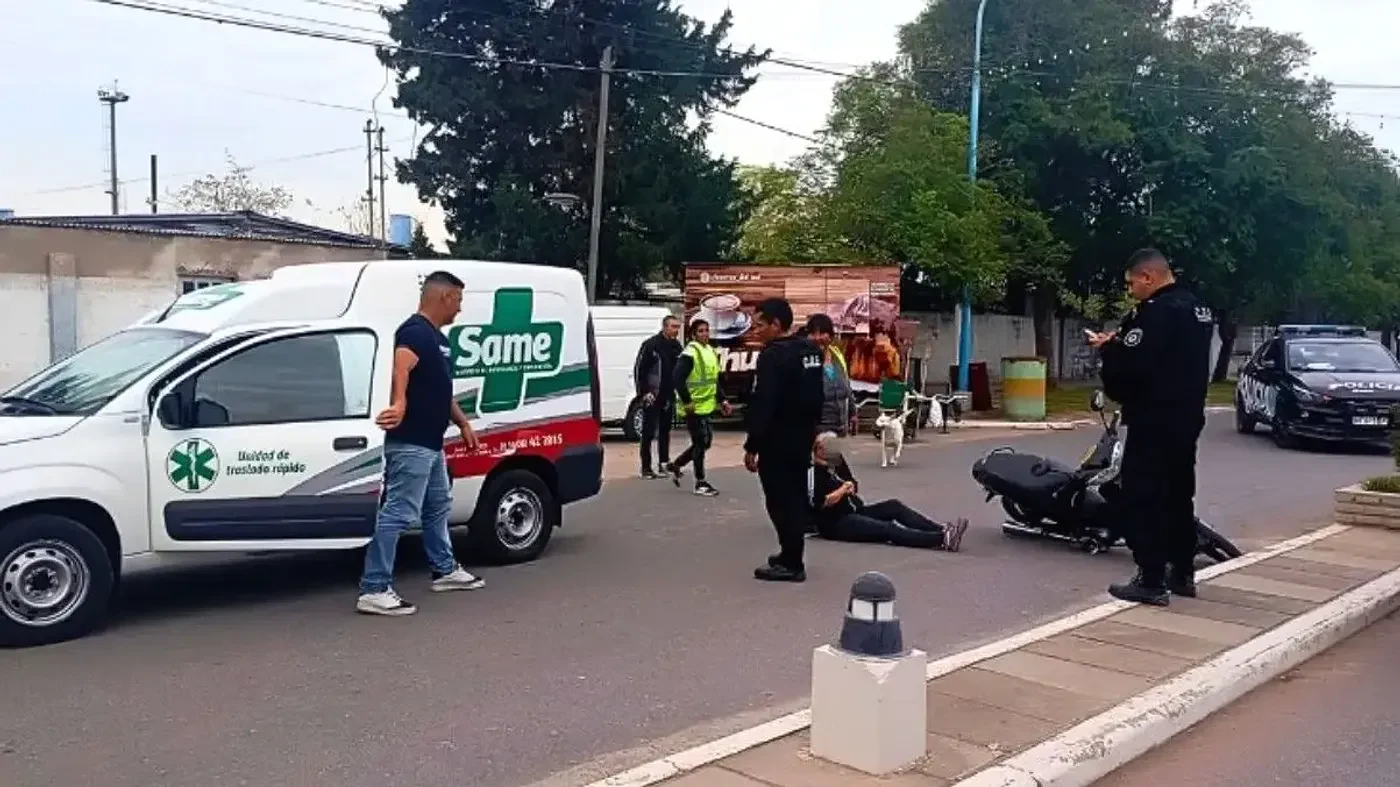 Accidente en Avenida Trabajadores Ferroviarios con mujer y perros involucrados.