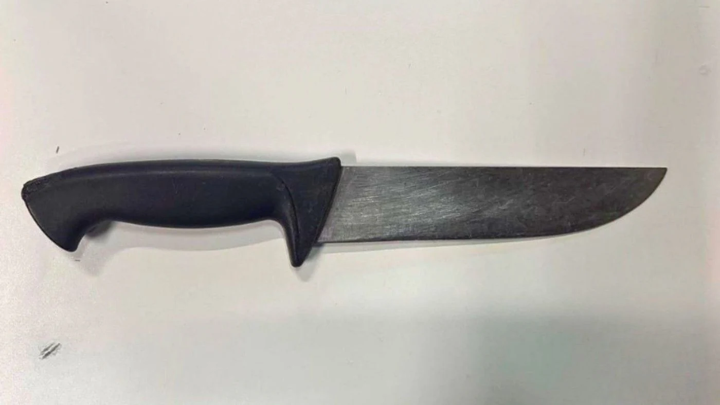 Imagen ilustrativa de la noticia: Aprehenden a joven tras resistirse y secuestran cuchillo (Policiales)