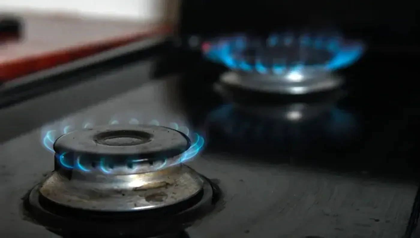 Los esquemas para calcular las tarifas de luz y gas quedaron modificadas tras el nuevo aumento. Foto: Santiago Tagua/MDZ
