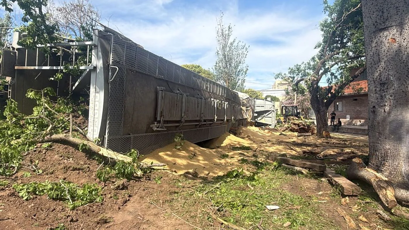 Vagón del Belgrano Cargas descarrilado junto a árboles caídos y granos desparramados en Pasaje Irala, Santa Fe