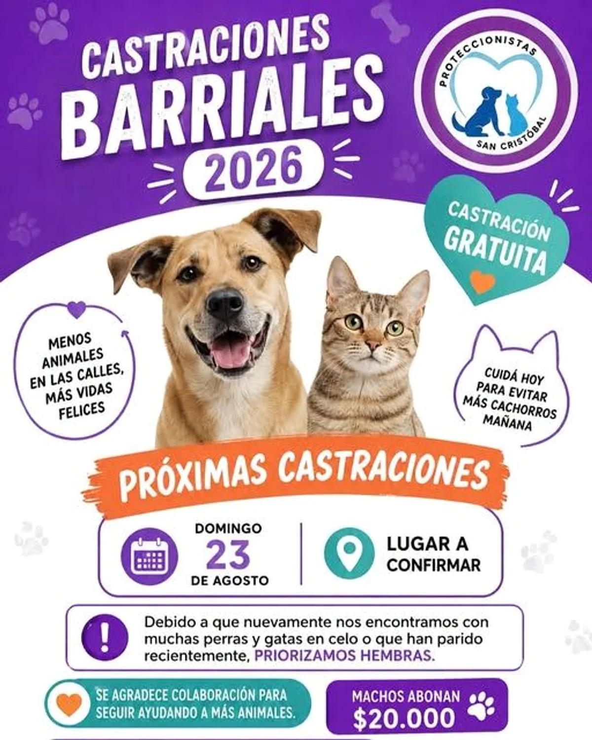 Imagen de la noticia