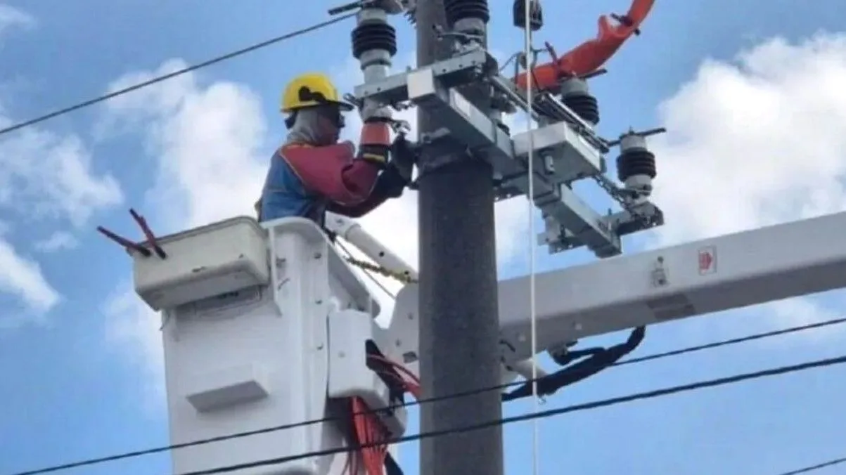 Trabajadores de la EPE realizando mantenimiento en línea de media tensión en San Cristóbal.