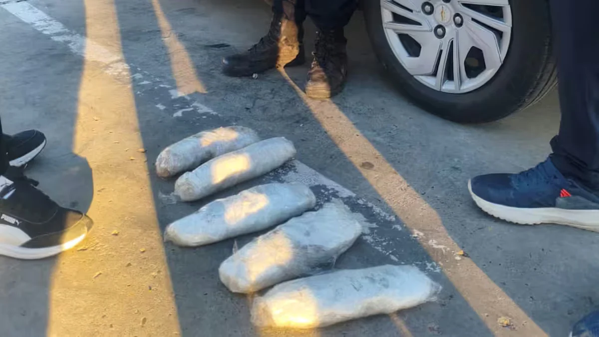 Golpe al narcotráfico en la Ruta 14. (Foto: Policía de Entre Ríos)