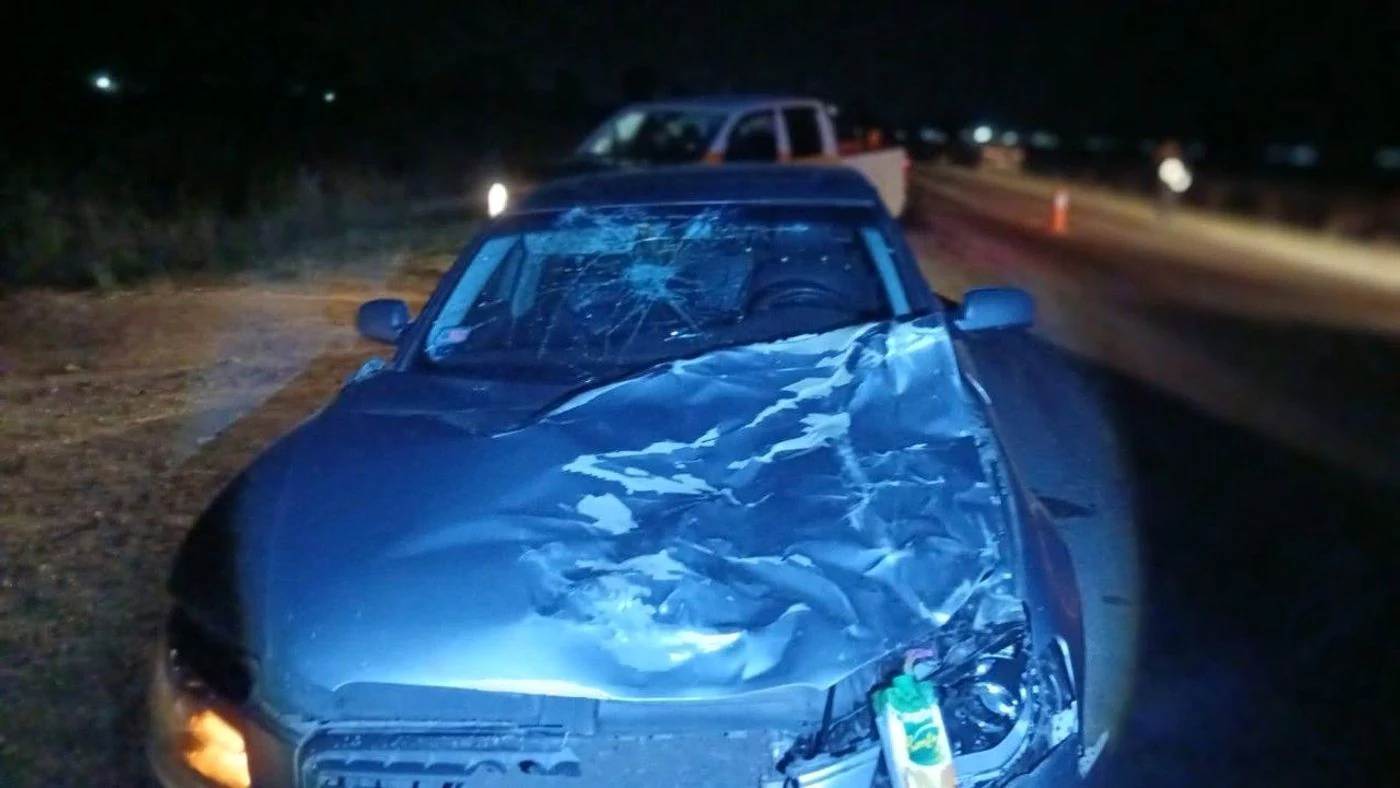 Imagen ilustrativa de la noticia: Impactante choque en Ruta 23: un Audi contra un vacuno (Policiales)
