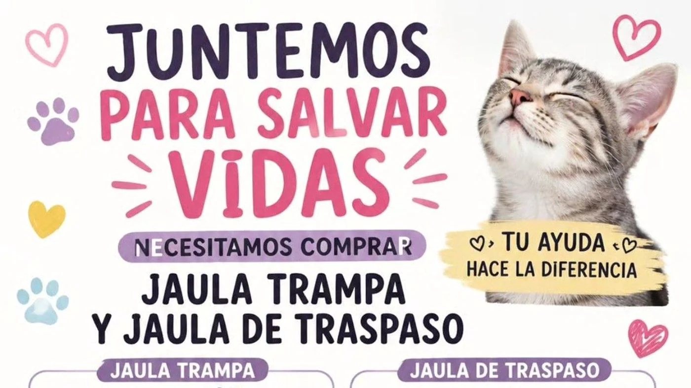 Imagen ilustrativa de la noticia: Proteccionistas San Cristóbal busca fondos para jaulas (Sociedad)