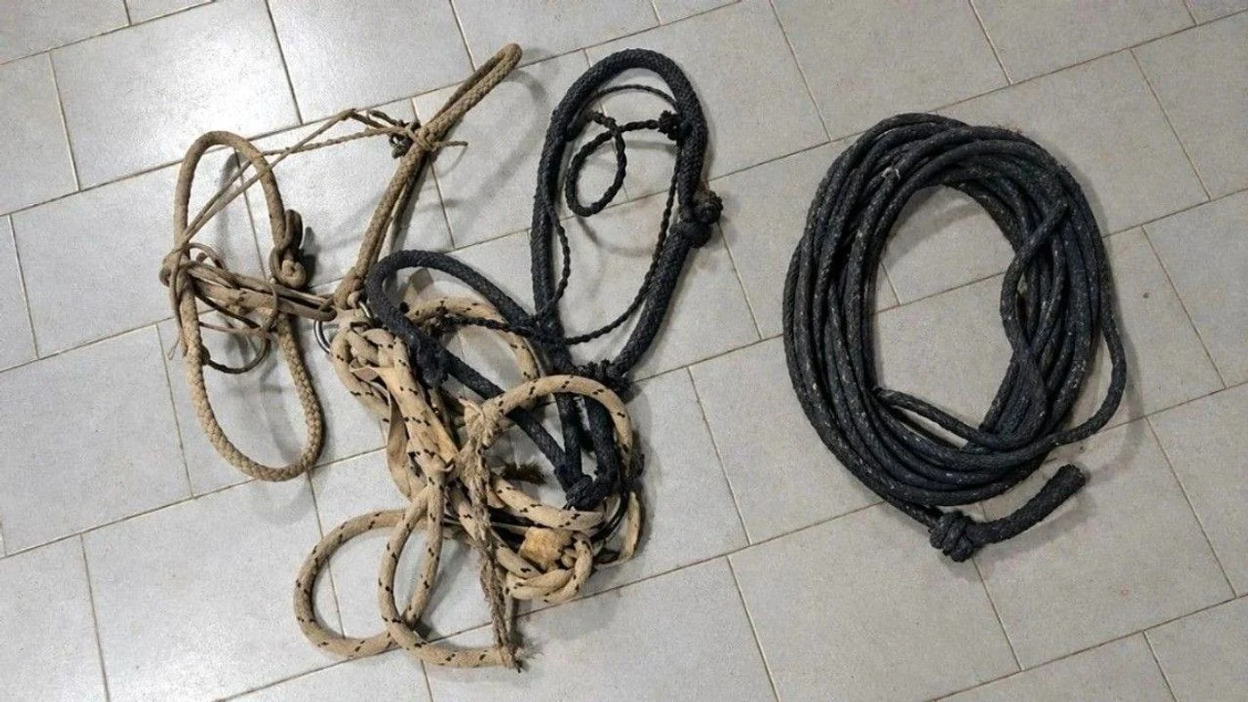 Imagen ilustrativa de la noticia: San Cristóbal: secuestran lazo y bozales a joven ya señalado por robar un cordero (Policiales)