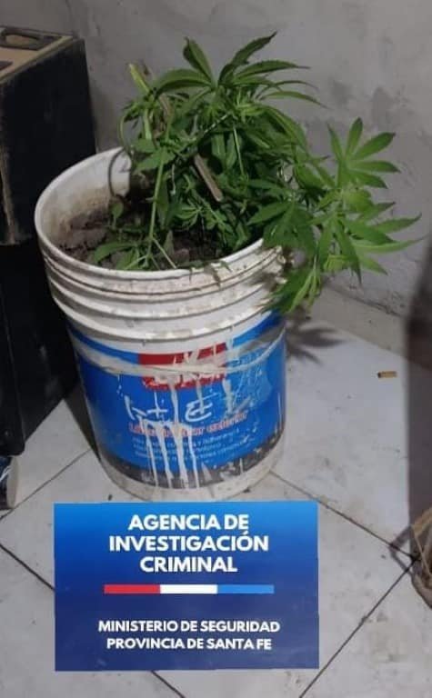 Secuestraron dinero en efectivo, joyas y marihuana