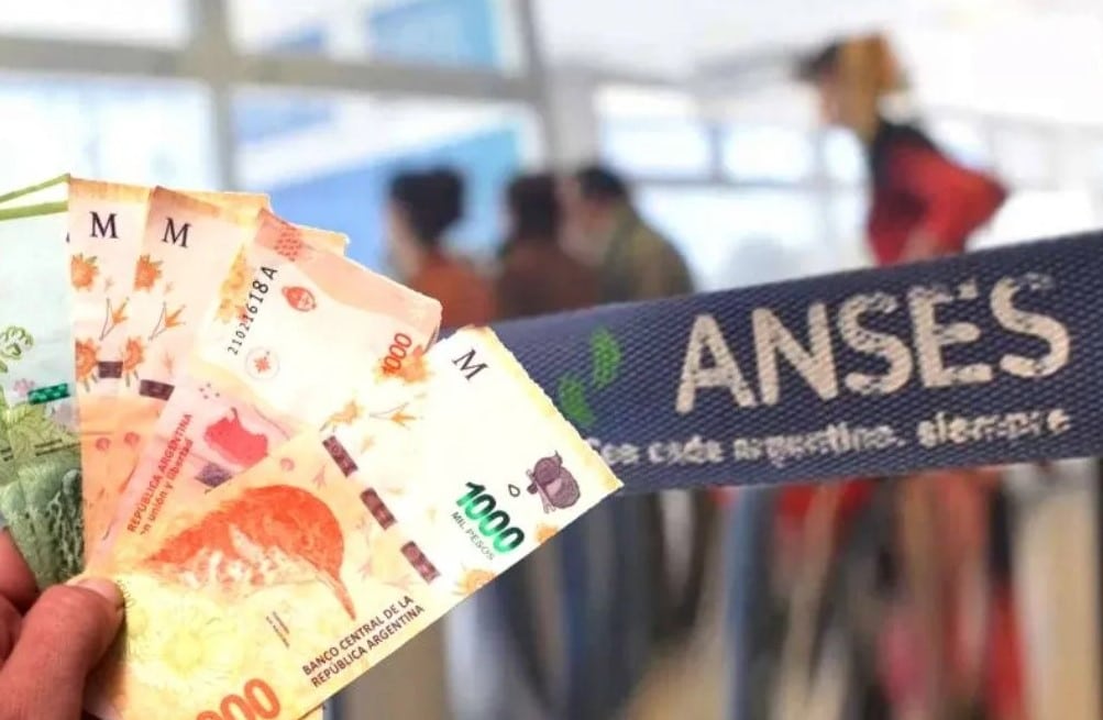 Como Puedo Cobrar Los $35.312 De Anses Con 3 Papeles