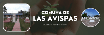 Comuna de Las Avispas