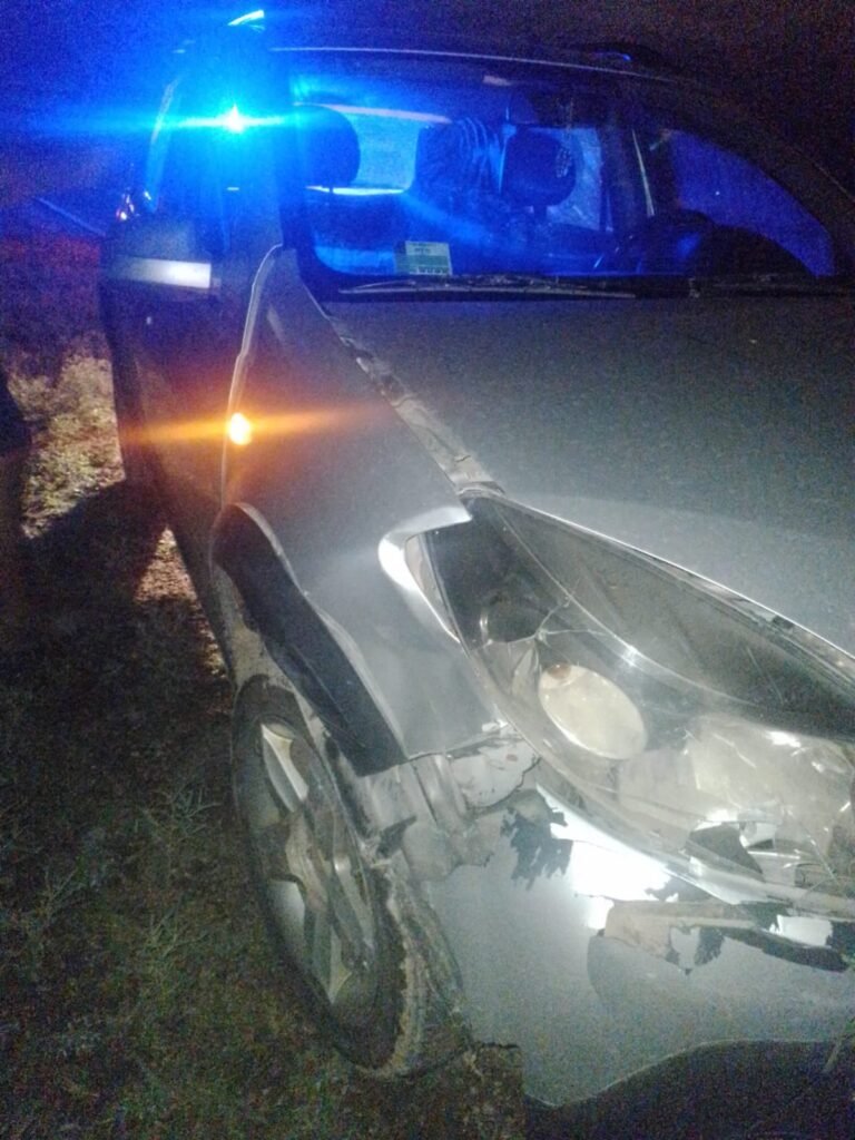 Colisión con Animales Sueltos