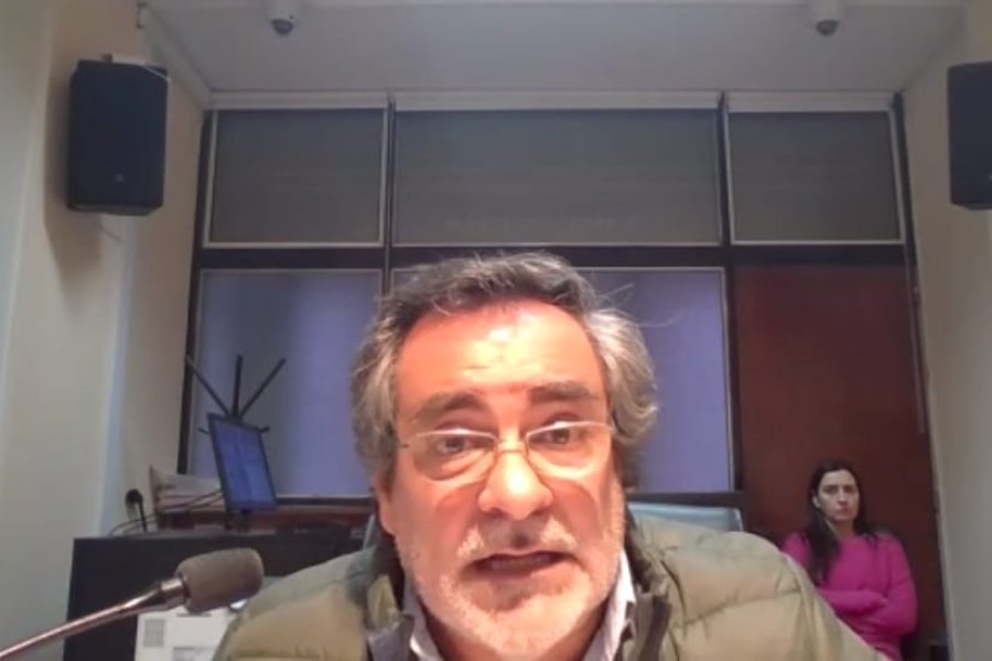 Juez Javier Bottero, durante la audiencia por zoom realizada en este sábado.
