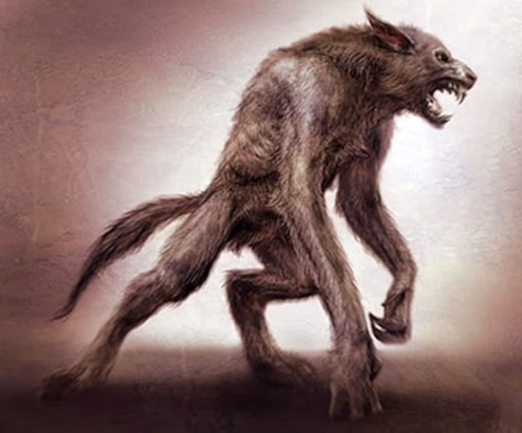 Terror en Corrientes: hombre encuentra un lobizón en la calle