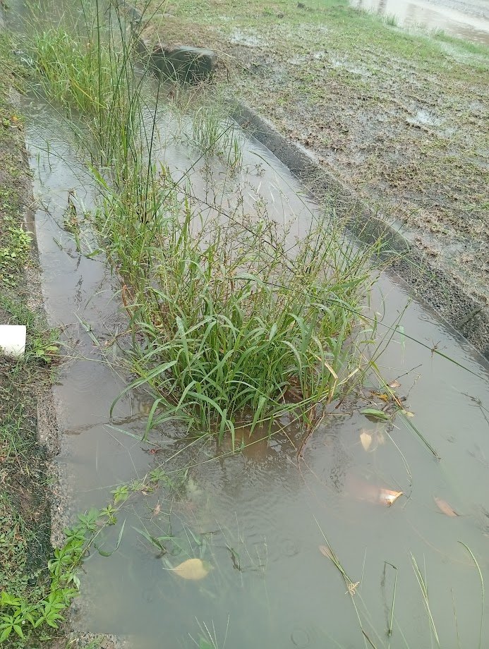 San Cristóbal no resiste la lluvia y un municipio sin respuestas